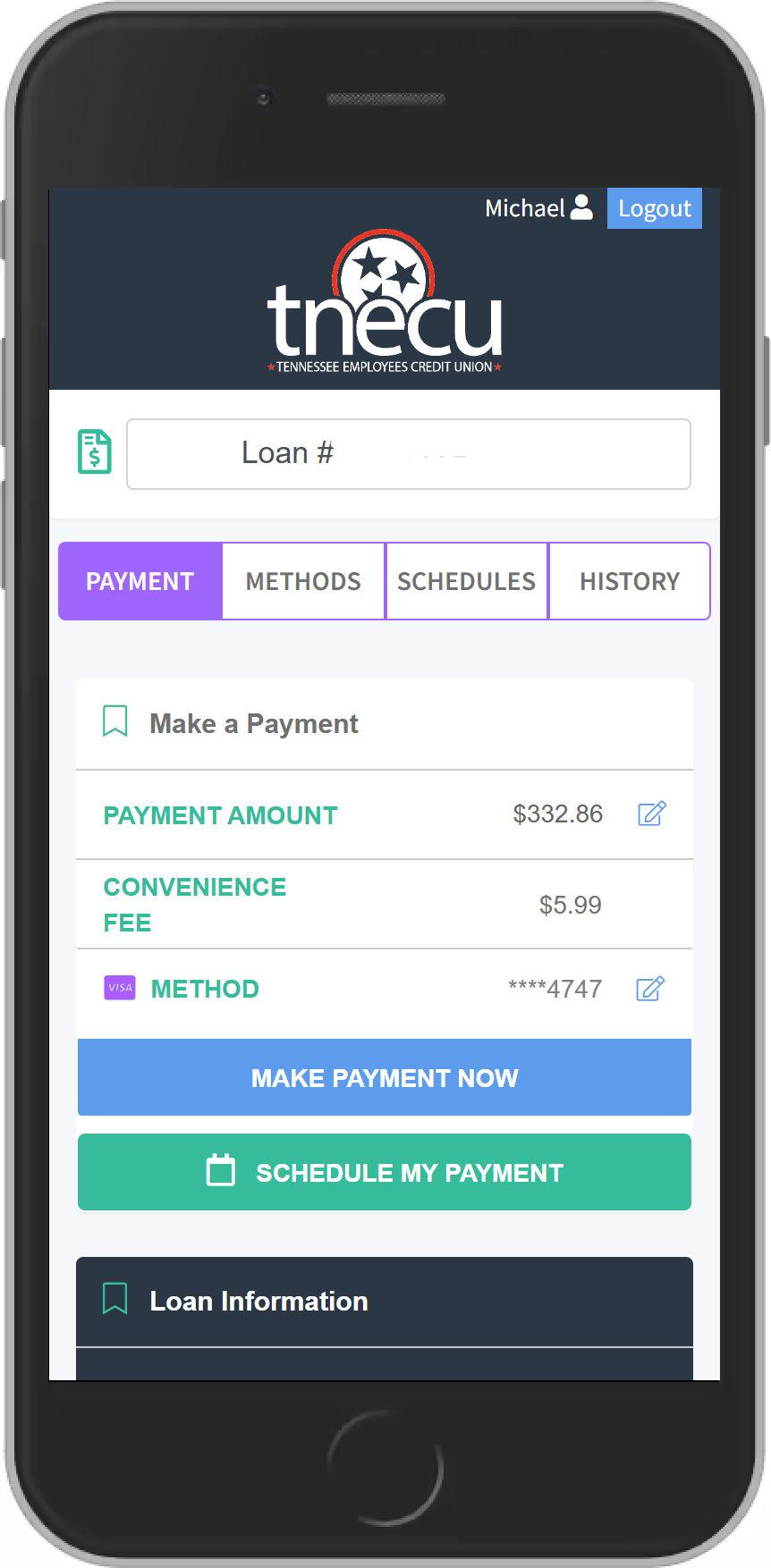 TNECU Screenshot of making the payment page