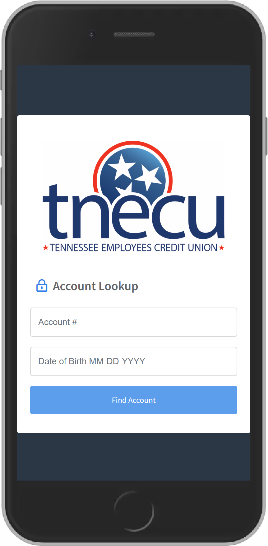 TNECU Screenshot of Account Lookup page